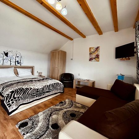 Vila Sofia Haţeg Dış mekan fotoğraf