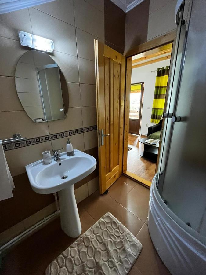 Vila Sofia Haţeg Dış mekan fotoğraf