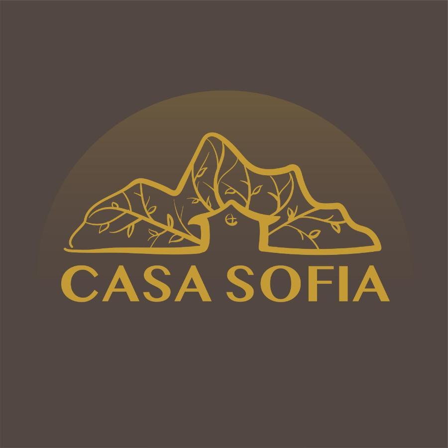 Vila Sofia Haţeg Dış mekan fotoğraf