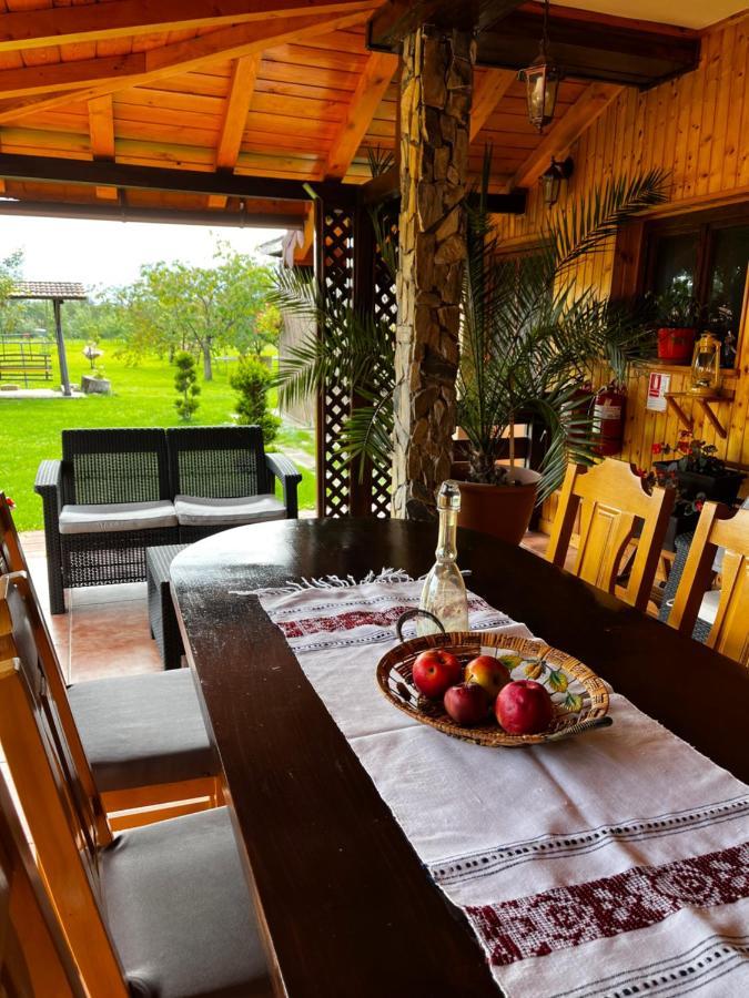 Vila Sofia Haţeg Dış mekan fotoğraf