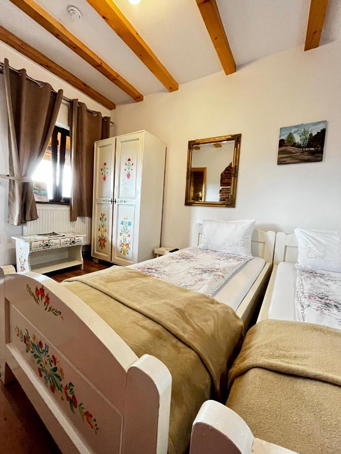Vila Sofia Haţeg Dış mekan fotoğraf