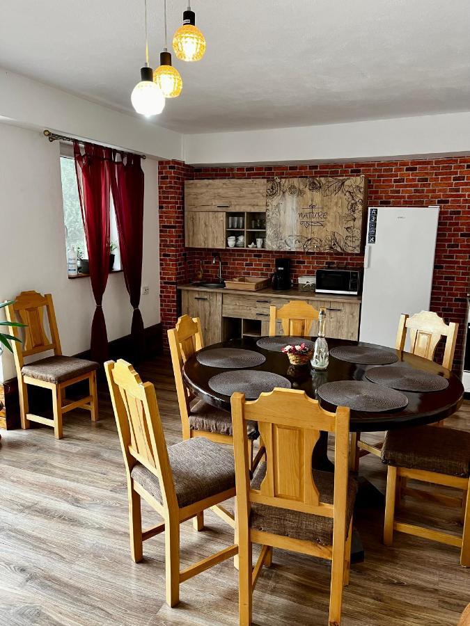 Vila Sofia Haţeg Dış mekan fotoğraf