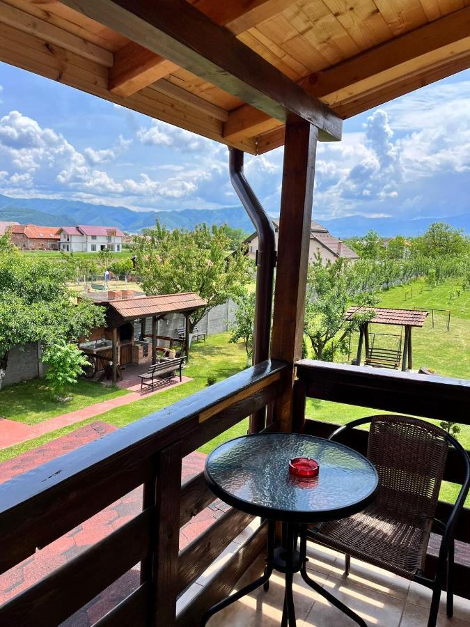 Vila Sofia Haţeg Dış mekan fotoğraf