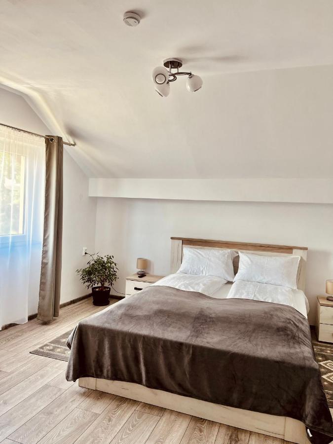 Vila Sofia Haţeg Dış mekan fotoğraf