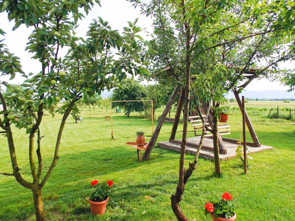 Vila Sofia Haţeg Dış mekan fotoğraf