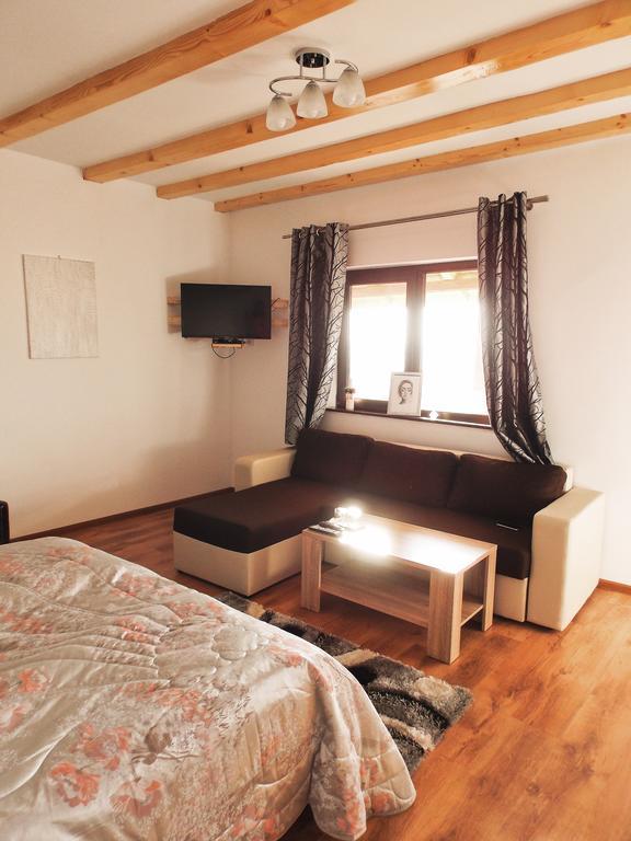 Vila Sofia Haţeg Dış mekan fotoğraf