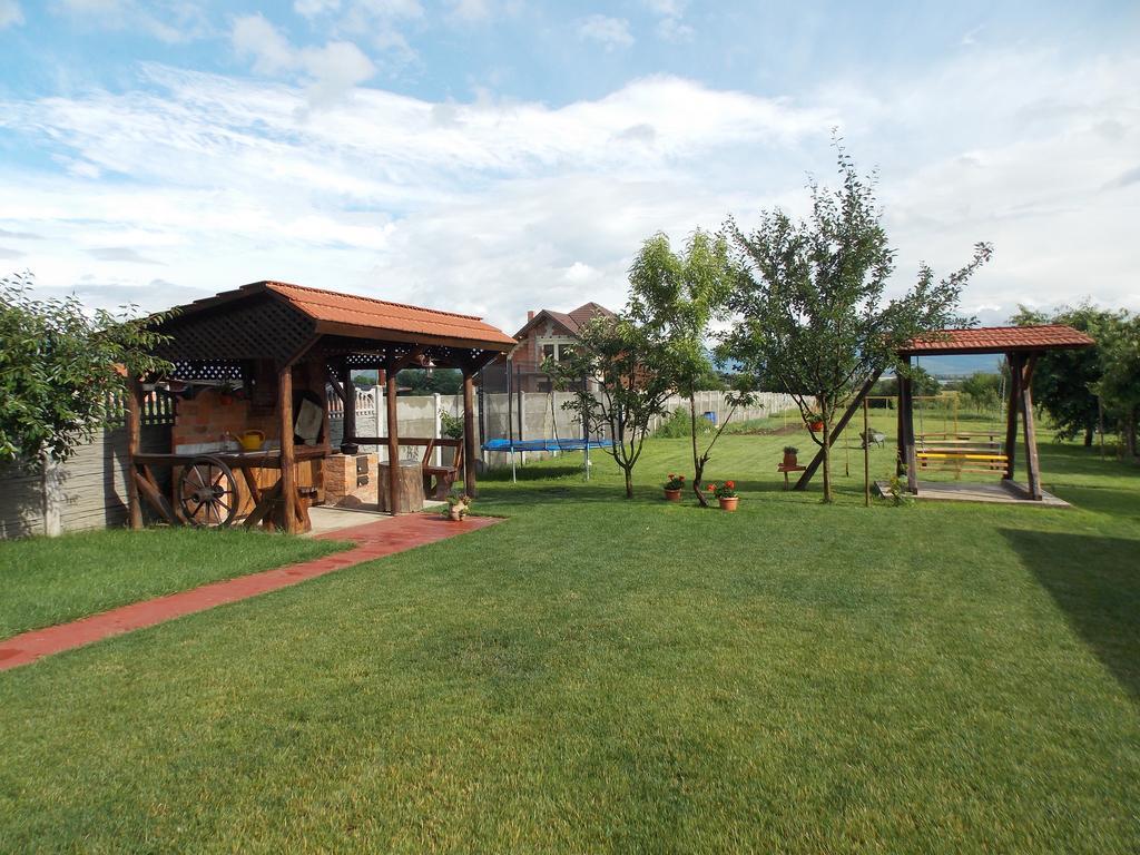 Vila Sofia Haţeg Dış mekan fotoğraf